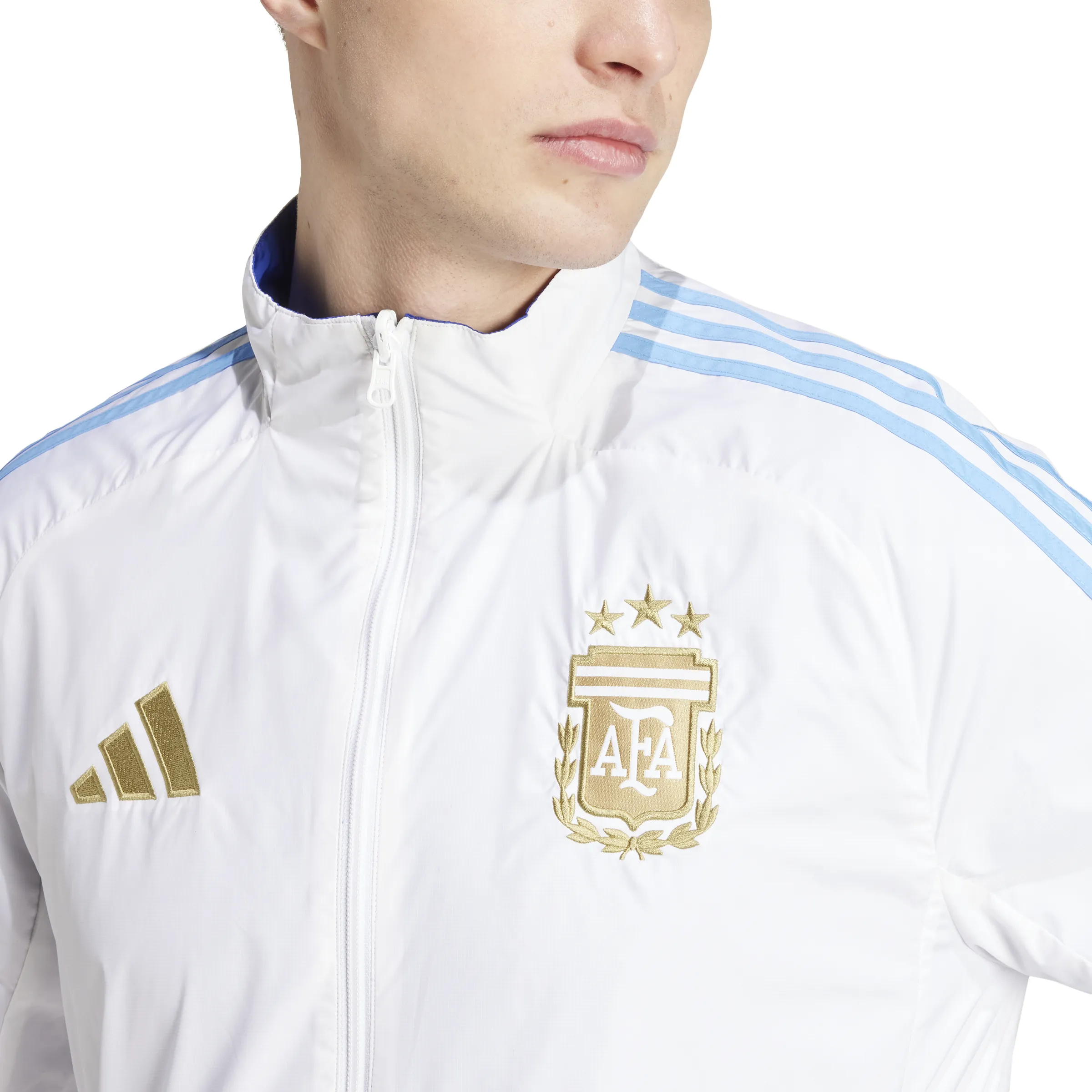 Adidas Argentina Men's 2024 Anthem Jacket