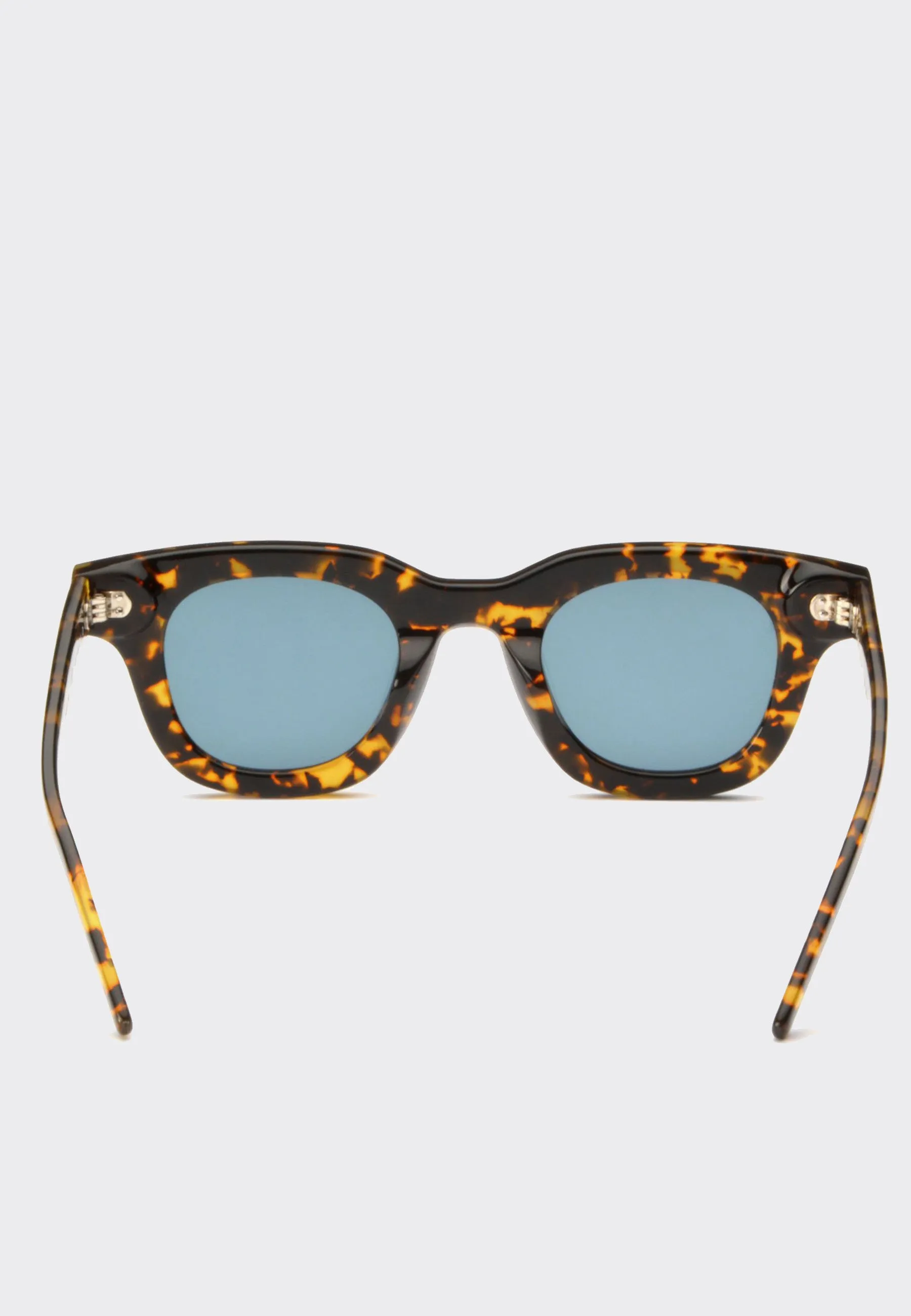 Apollo Sunglasses - tortoise/clear