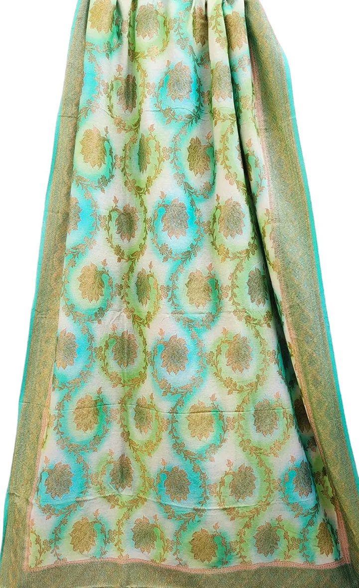 Blue Banarasi Handloom Moonga Silk Brush Dye Dupatta