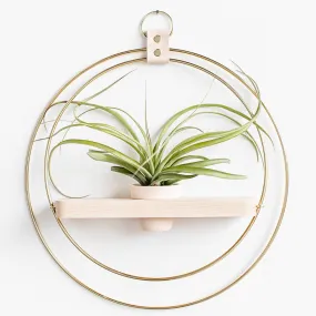 Braid & Wood Design Studio - Plant Shelf (Classic Shimmer) - Gold Plant Shelf