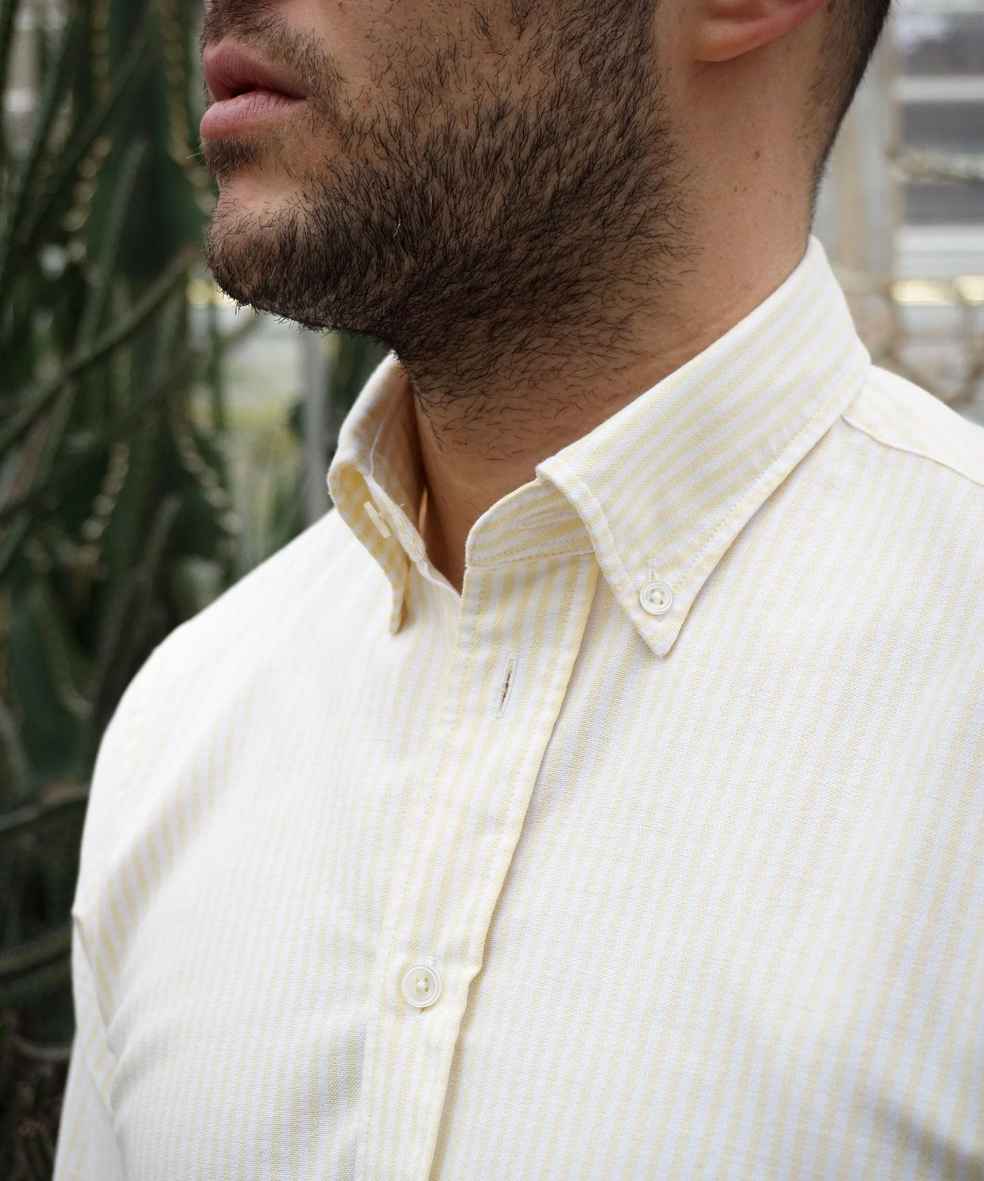 Button Down Oxford Shirt Striped