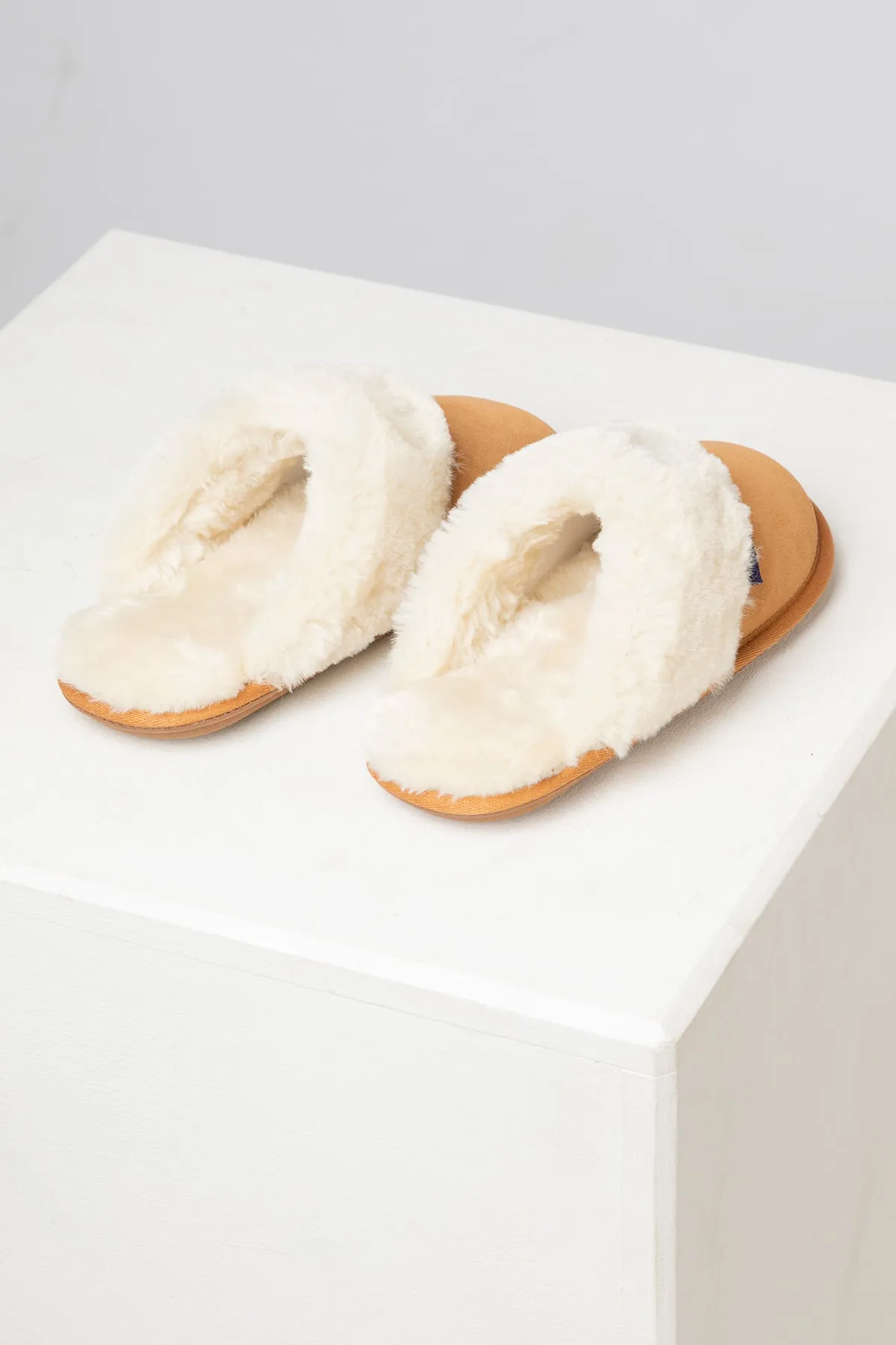 Ladies Suede Slippers - Beswick