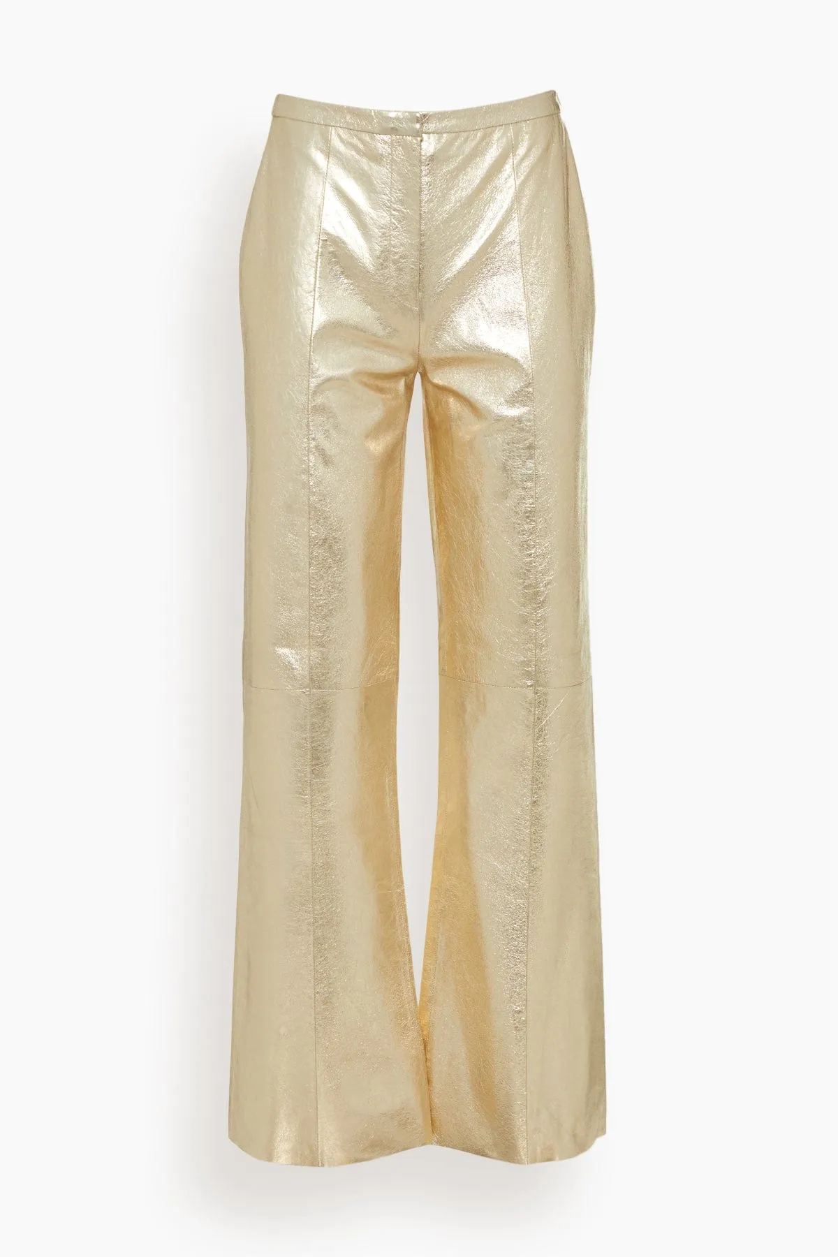 Laminated Leather Palazzo Pants in Stardust