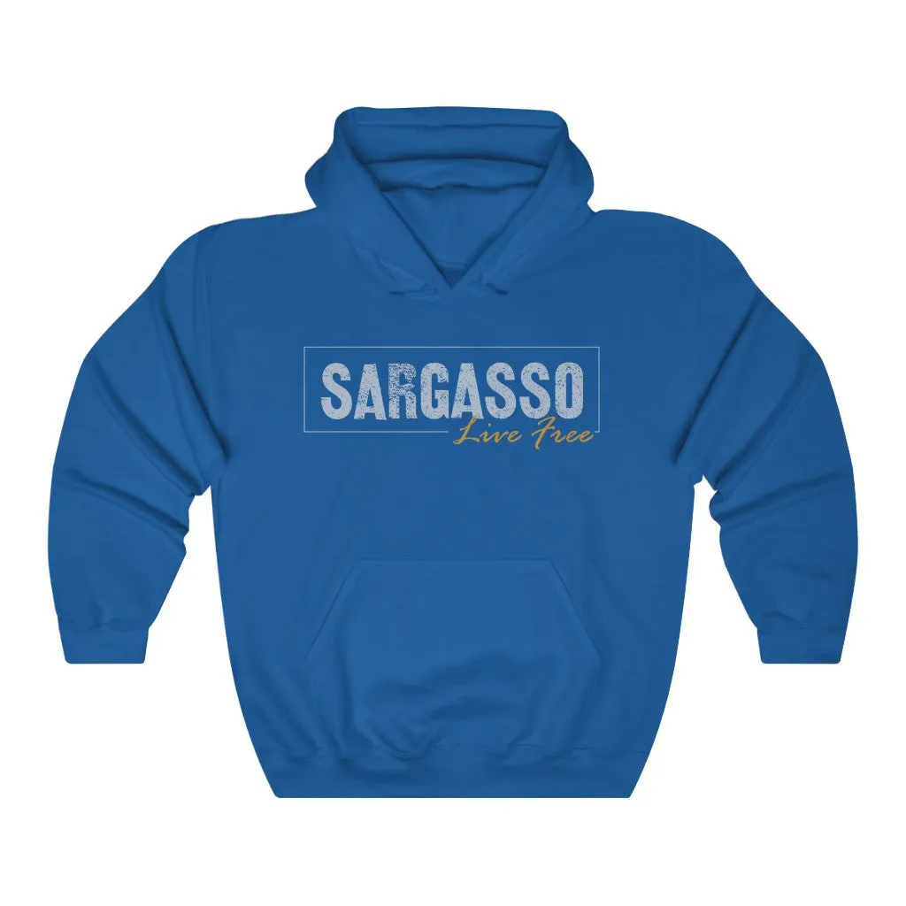 Sargasso, Classic Unisex Heavy Blend™ Hooded Sweatshirt