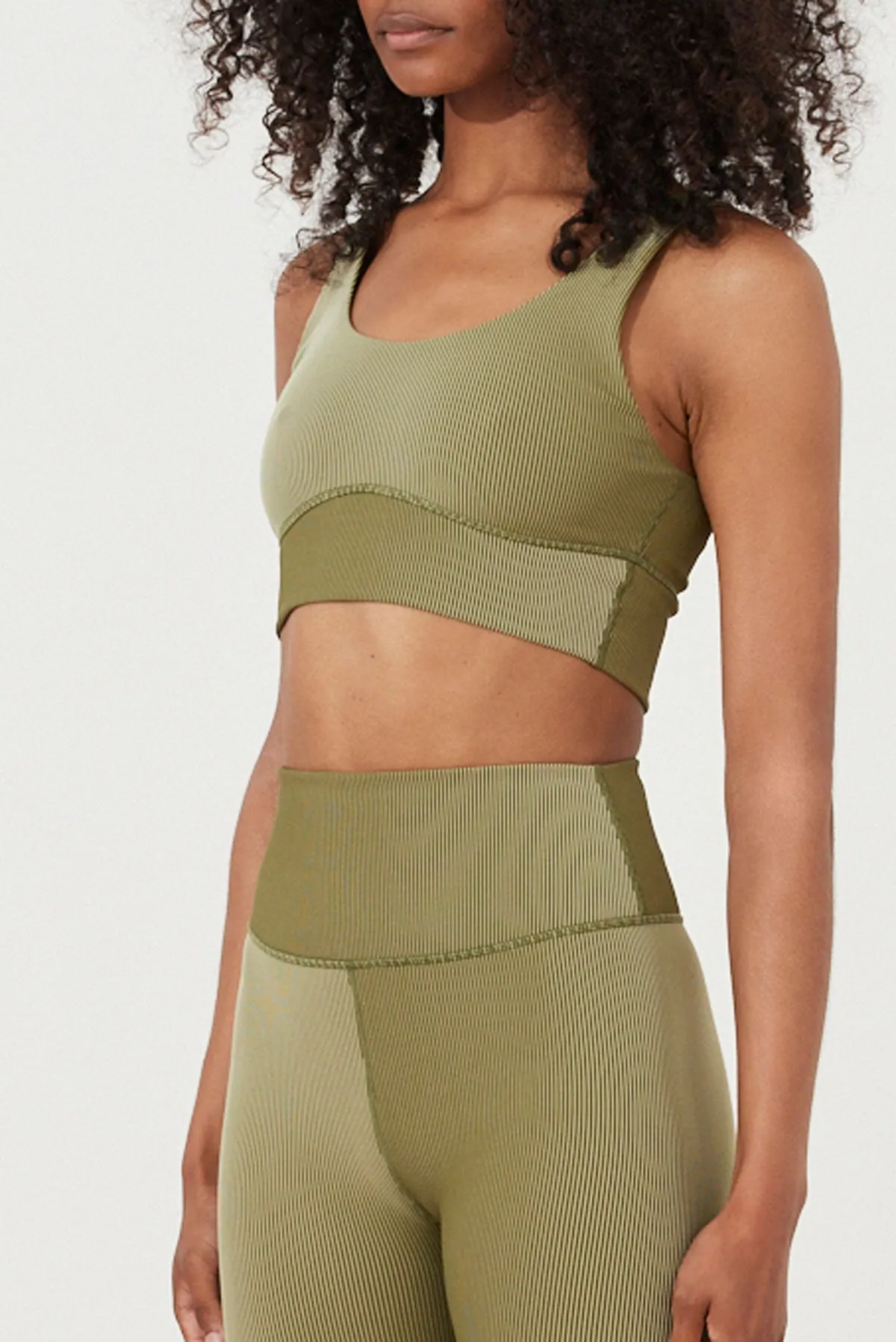 Stripe Rib Crop Top - Olive