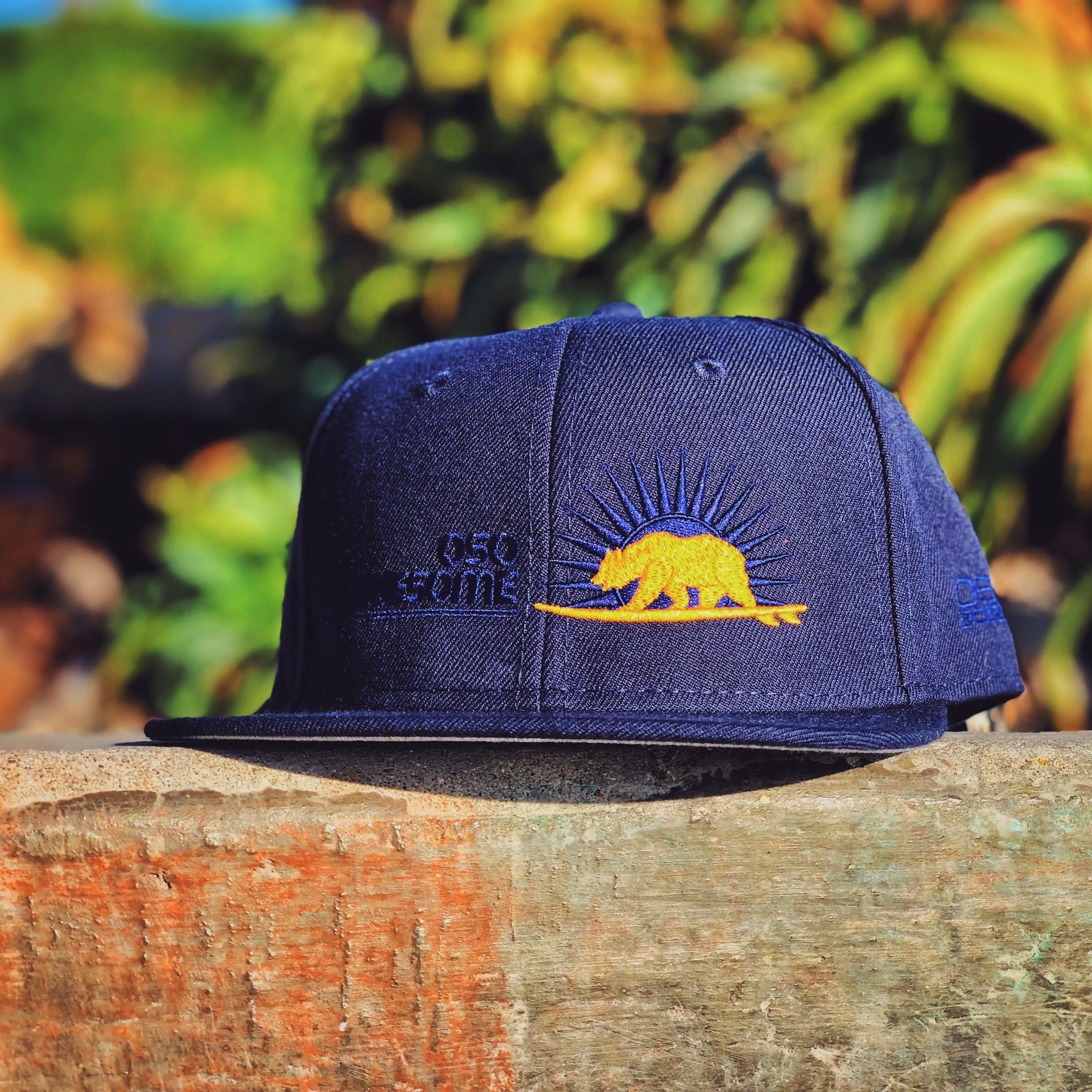 Sunshine Bear Snapback Hat