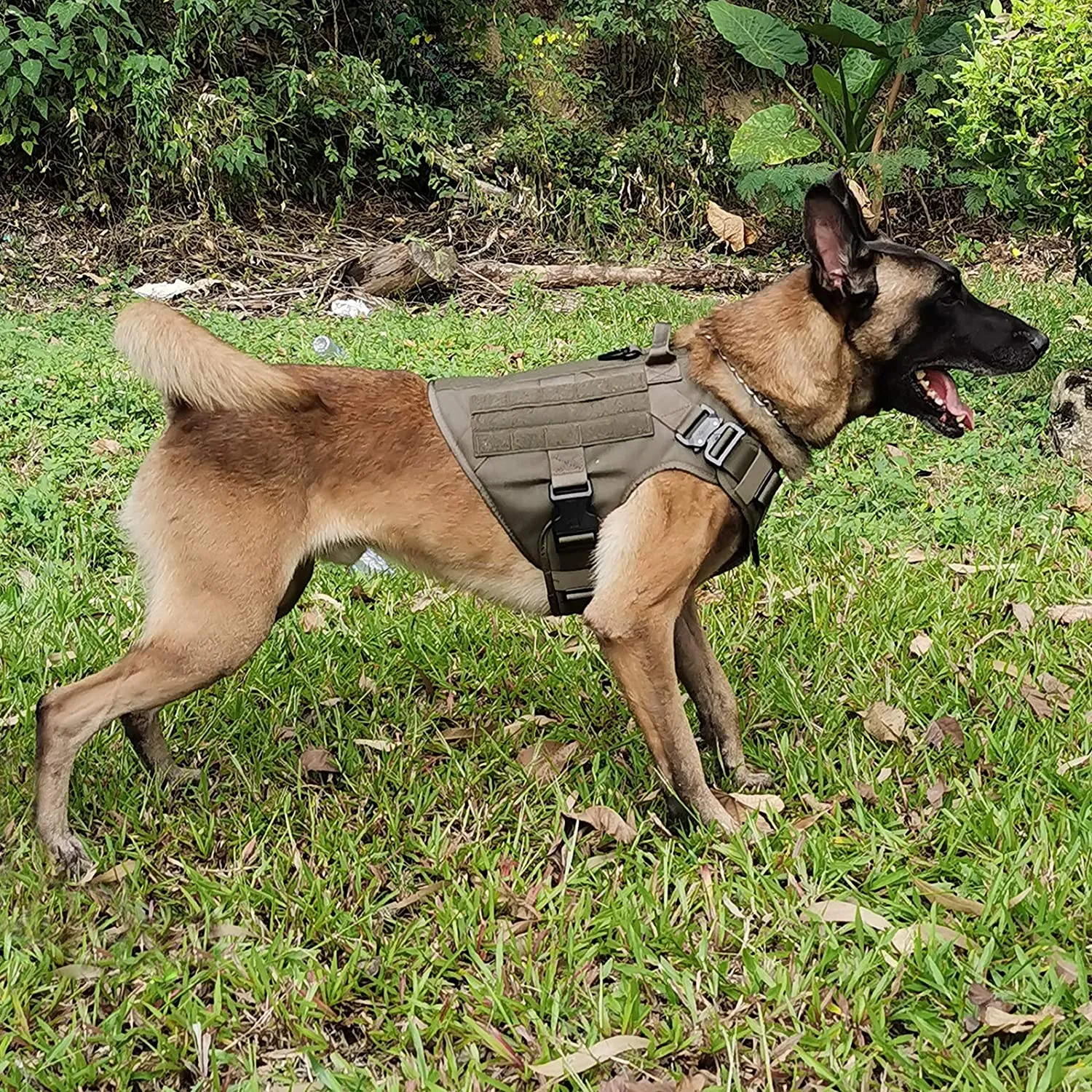 Tactical Dog Harness