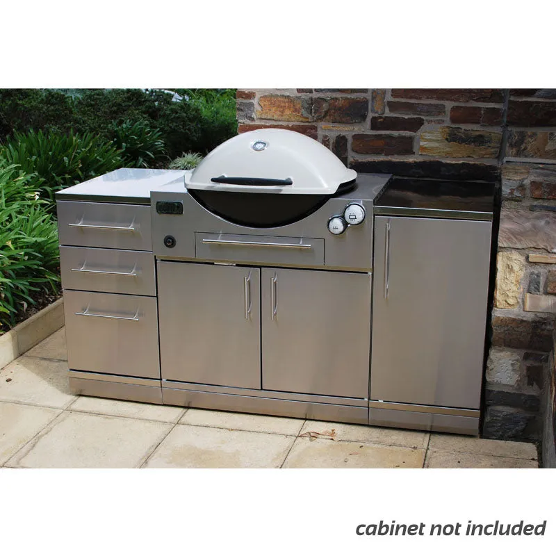 Weber Family Q3600 Built-In